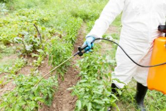 Pesticides-could-be-dangerous-to-humans-and-environment-625x400